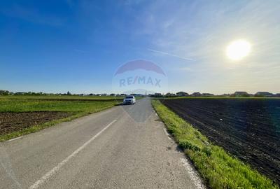 Teren Intravilan 6.220 mp | Strejnicu, Strada Livezilor - 2