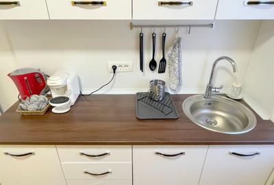 Apartament 2 camere-Take Ionescu Timisoara - 6