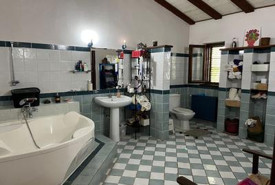 Vila cu piscina -7 camere - Ghermănești - 16