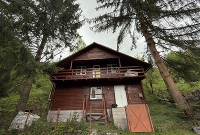 Cabana 5 dormitoare - 138.6 mp utili - 386 mp teren - Baisoara! - 1