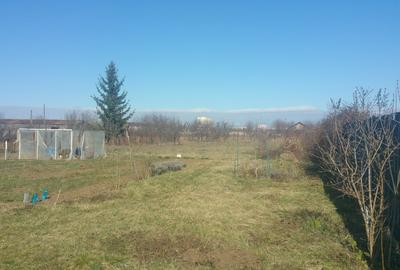 TEREN IN NOUA - INTRAVILAN CONSTRUCTIE- 900 mp  - COMISION 0% pentru cumparator - 2