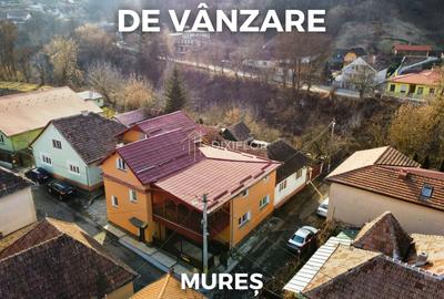 Casă individuală cu 8 camere în Vest