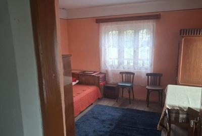 Casă tradițională cu teren generos – Borosteni, Peștișani, jud. Gorj - 9