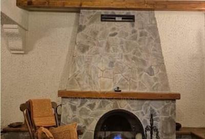 CASA DE VACANTA//CORNU DE JOS - 8