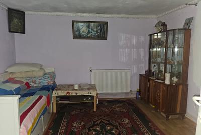 Casa Vladiceni - - 4