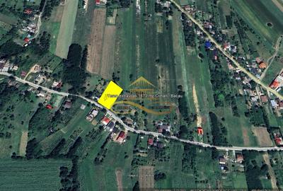 Teren extravilan de vanzare Crihan Bacau - 9