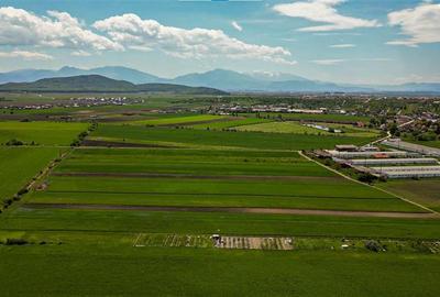 FILM! Teren extravilan 5.000 mp in zona linistita cu acces facil, Bod, Brasov. - 1