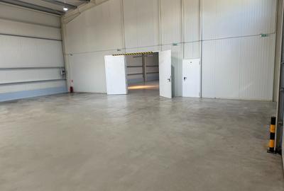 OFERTA LIMITATA  4,5 Euro Hala industriala 300 Mp - 2