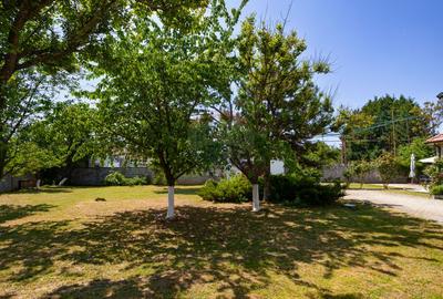 Casă cochetă de vânzare, teren 954 mp, posibil parcelare, în Subcetate - 35