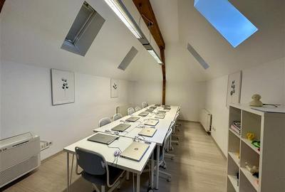 Vila deosebita de inchiriat, pentru birouri - 640 mp - 27