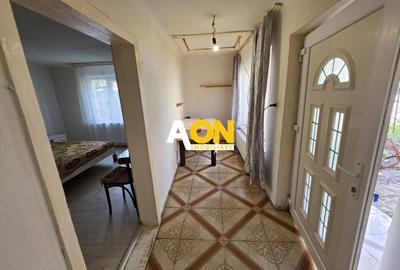 Casa cu 2 camere, 300 mp teren, pretabila pt. muncitori, Cetate - 6