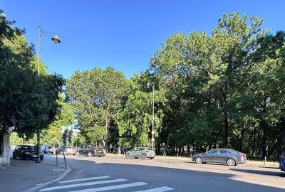 Vila interbelică în zona Aviatorilor - 5