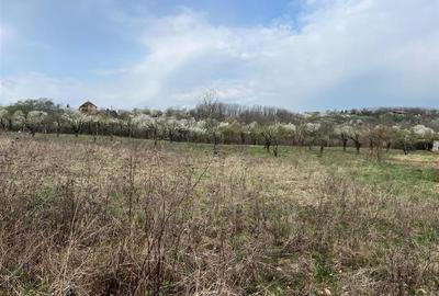 Teren intravilan de 600 mp, în Săldăbagiu de Munte