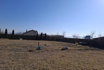 Teren 500 mp situat in localitatea Harman strada Nicolae Balcescu ! - 8