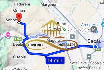 Teren extravilan de vanzare Crihan Bacau - 7