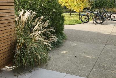 JANDARMERIEI (THE IVY)- PRIMA LOCUIRE I orientare SUD I parcare subterana - 13