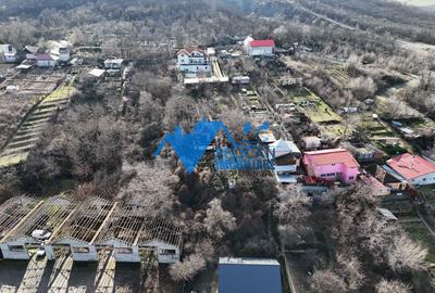 Teren intravilan BIDIDIA, zona deosebita, 550MP - 9