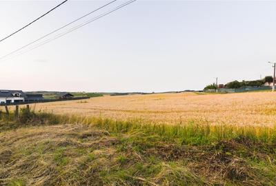 RECO Teren intravilan pentru casa 1000 mp Lazareni - 9
