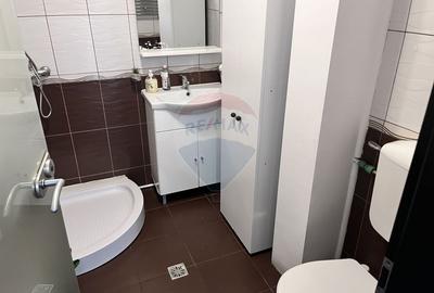 Vila de închiriat 6 camere Piata Victoriei - 20