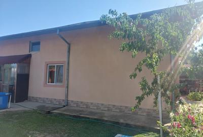 VILA D+P+M DE VANZARE SITUATA IN JUDETUL ILFOV COMUNA DASCALU - 5