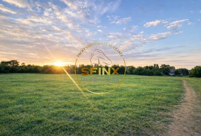 Teren Construcții intravilan de 10000 mp, în Sisești