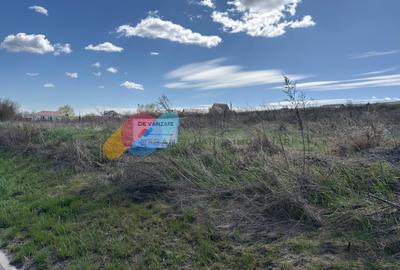 Teren 4550 mp, front la DJ , zona Valea Chintaului - 6