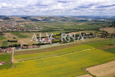 INVESTITIE! Teren constructii 11.600 mp | front 45.7m | Jucu de Sus - 6
