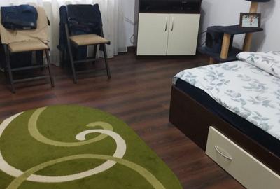 Vila Valea Adinca  cod 156481 - 1
