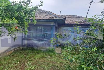 VANZARE CASA | TEREN 2500 MP | LIVADA SI VIE | SAT BREBINA – SCRIOASTEA - 4