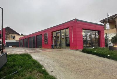 Inchiriere - Spatiu multifunctional auto / logistic - 1