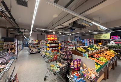 Spatiu Comercial de Inchiriat – 349 mp, Sos. Pantelimon, Bucuresti - 5