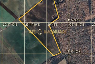 Teren agricol extravilan de 267526 mp, în Tărtășești