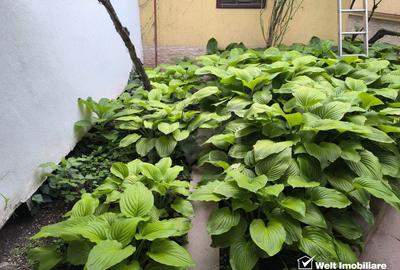 Casa indiv. 3 cam., 96 mp utili, zona P-ta Mihai Viteazul, strada linistita - 7