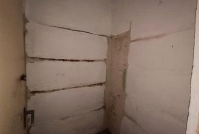 Apartament 2 camere | Cetate | Parter | Beci + Debara | 50 MP - 5