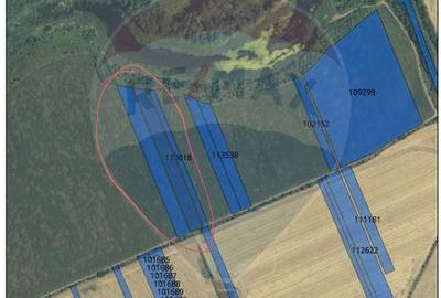 De vanzare teren Extravilan Snagov Padurea Snagov DJ 101B Ghermanesti - 2