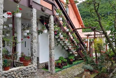 Pensiune in Sasca Montana - 3