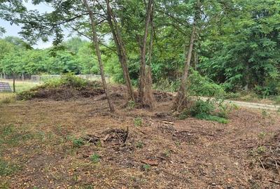 TEREN IDEAL PENTRU A-FRAME SAU UN CONTAINER MODERN - 9