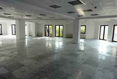 0% comision! Inchiriere birouri Dacia, 438 - 2472 mp - 3