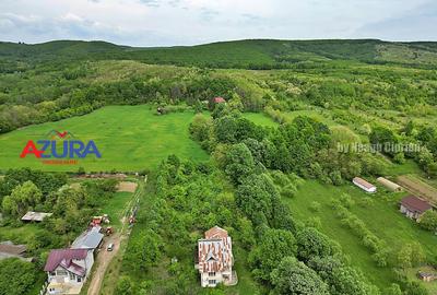 AZURA Imobiliare - Budeasa, Teren 5.069 mp, Casa BONUS - 9