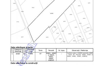 Mogosoaia-Teren 5.000 mp Str. Nichita Stănescu – Pretabil Proiect Imobiliar - 3