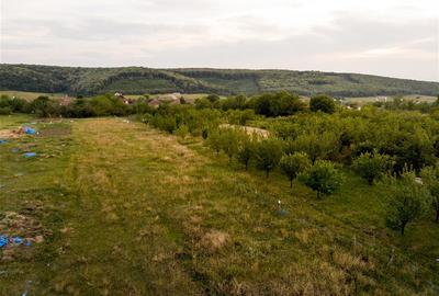 RECO Teren intravilan de vanzare Betfia, Bihor - 3000 mp, front stradal 20 m - 9