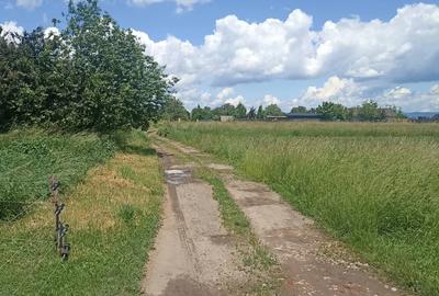 De vânzare teren extravilan la Sfântu Gheorghe - 10
