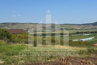 Teren intravilan | De vanzare | 1000 mp | 17 ml deschidere | Micesti - 2