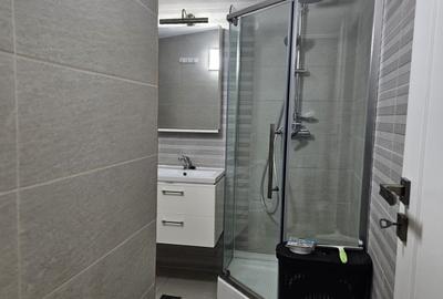 Apartament 1 camera de inchiriat in vila, zona Centru-Primarie - 9