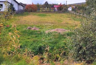 Teren intravilan 1200 mp-ideal casa-investitie-Zona Izvorul Rece - 2