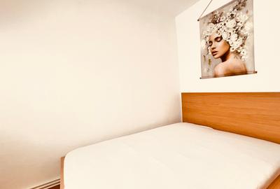 Apartament 2 camere Auchan Vitan, stradal, CENTRALA, mobilat si utilat modern - 15
