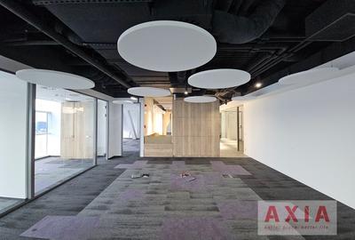 Birou premium in zona Piata Victoriei - 4