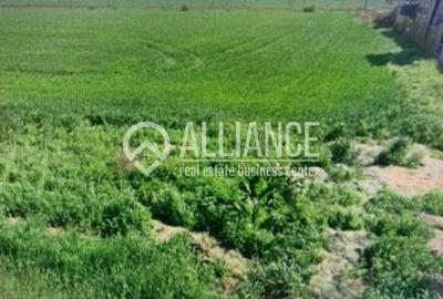 Constanta  - teren 5,000 mp deschidere 25 ml - 1