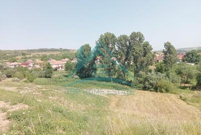 Teren intravilan, 3000 mp, în Corușu! - 1