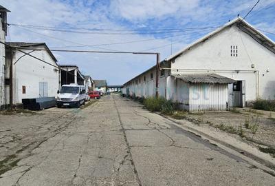 Teren pentru dezvoltare comerciala in Oradea 57000 mp, zona mixta intravilan - 11